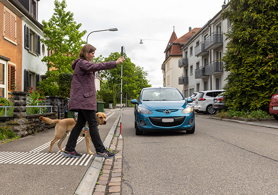 TWS2024 Vortrittsrecht Aufmerksamkeitsfeld Blindenführhund