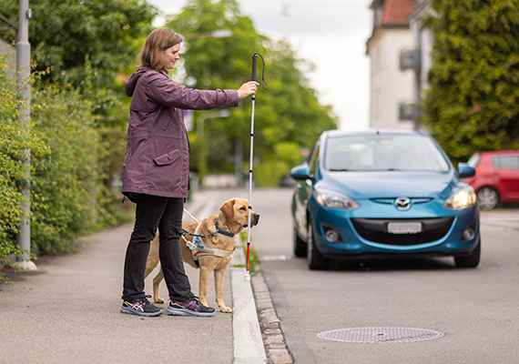 TWS2024 Vortrittsrecht Blindenführhund